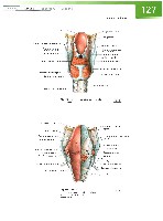 Sobotta Atlas of Human Anatomy  Head,Neck,Upper Limb Volume1 2006, page 134